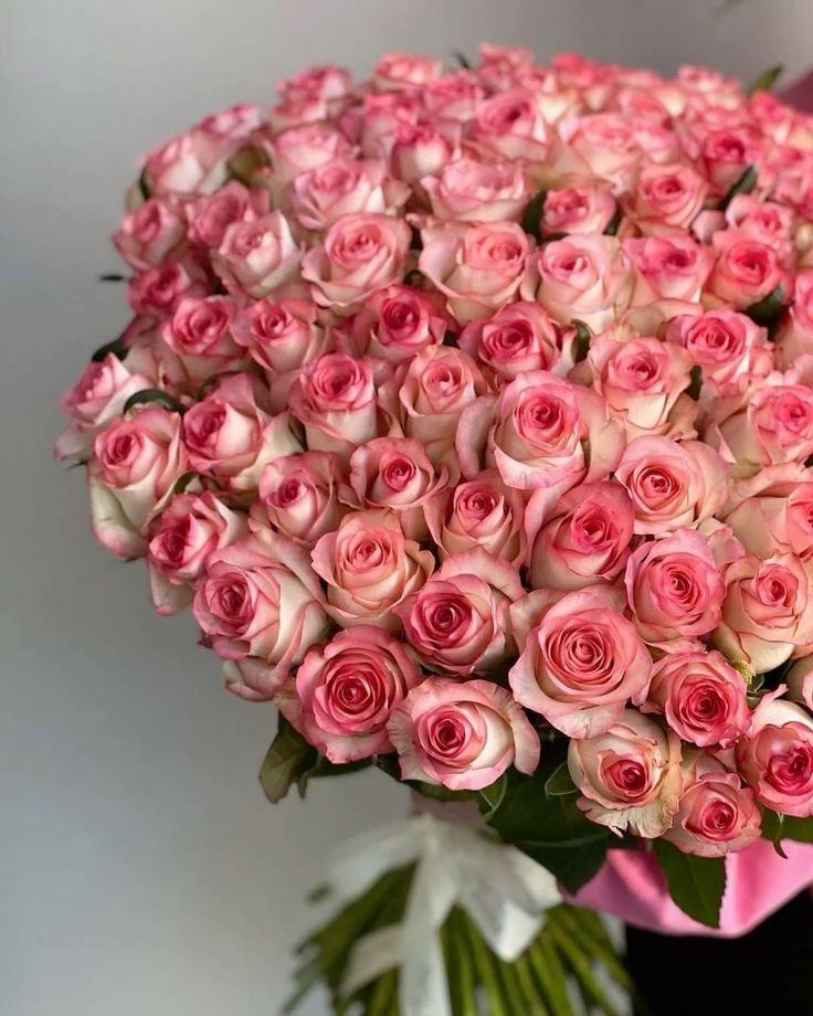 Joyful Carousel: Vibrant Festive Floral Array